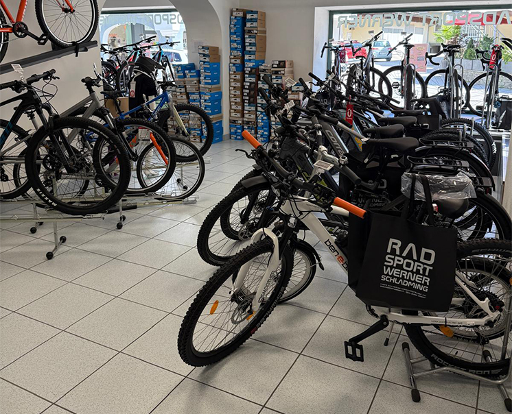E-Bike